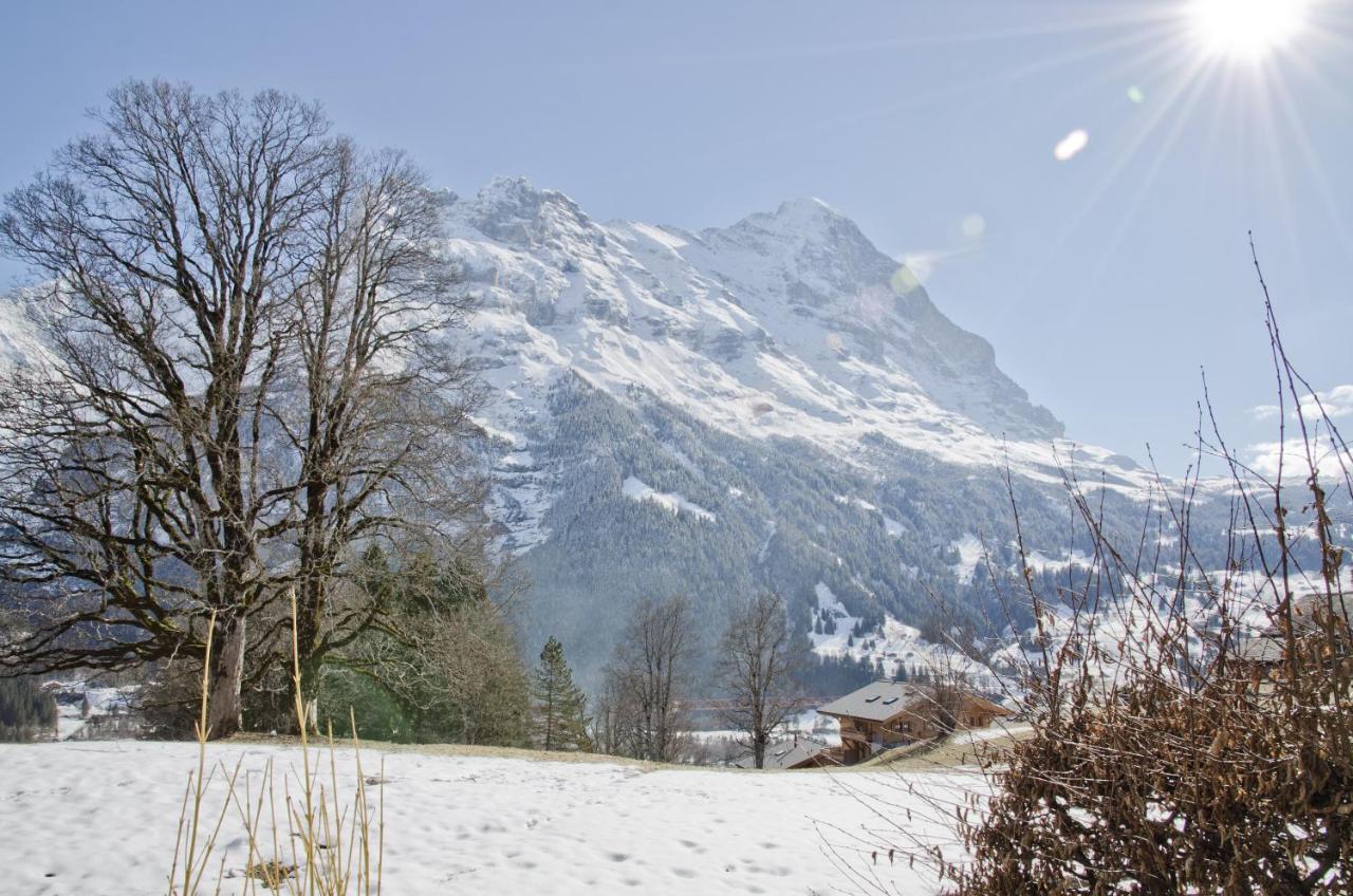 Apartment Nussbaum - Griwa Rent Ag Grindelwald Esterno foto